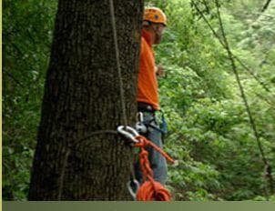 Actividades