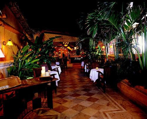 La Palapa