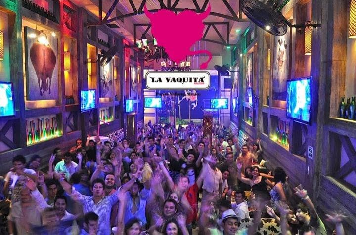 La vaquita Puerto Vallarta