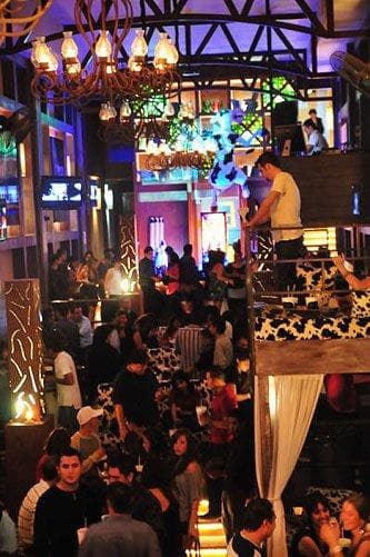 La vaquita Puerto Vallarta
