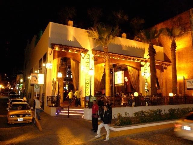 Zoo Bar And Dance