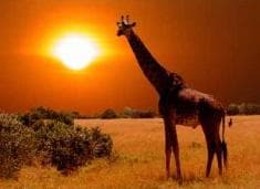 Kenia