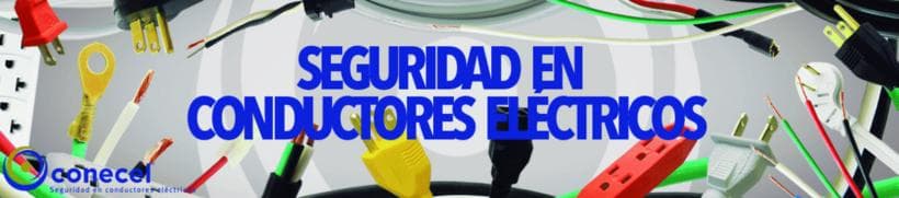 MANUFACTURERA CONECEL S.A. DE C.V.