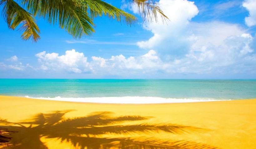 Playa